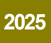 Proyectos, año 2025